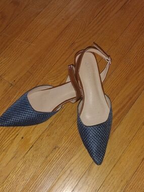 Pointed Toe Slingback Flats in Navy and Brown